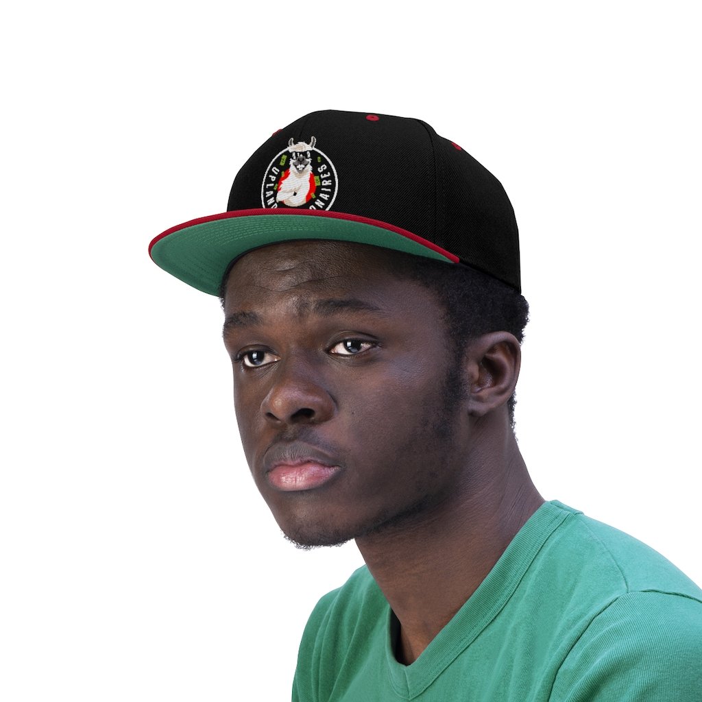 Unisex Flat Bill Hat - Image 7