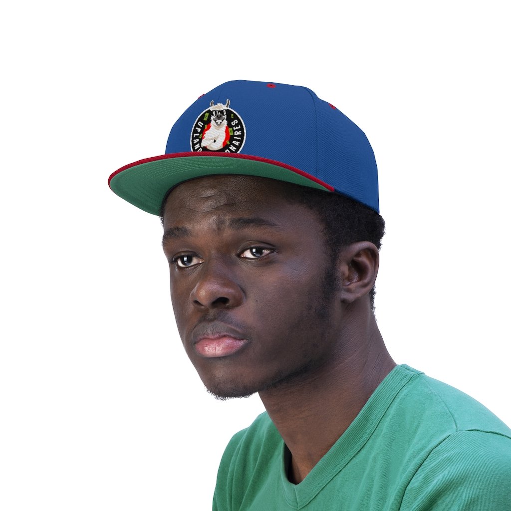 Unisex Flat Bill Hat - Image 14